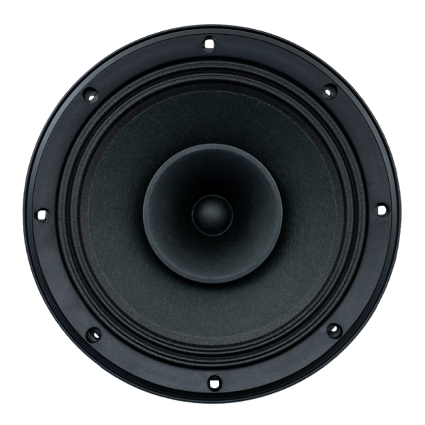 Audax - Speaker Pasif 10" AX-10220 M8 Full Range mid Low