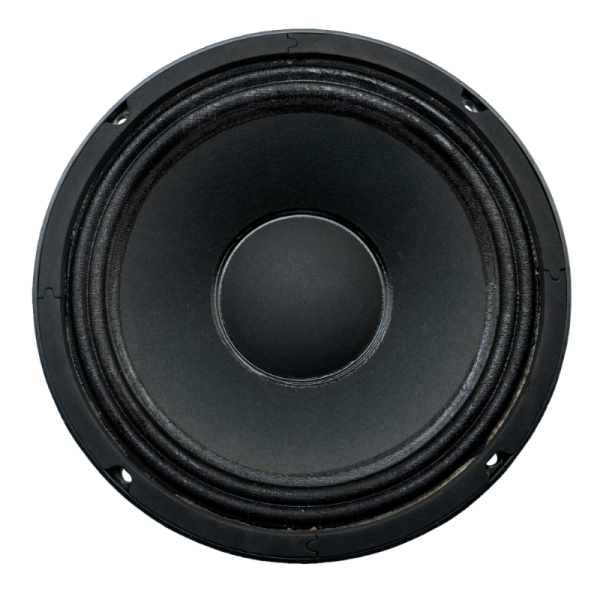 Audax - Speaker Pasif 10" AX-10560 M8 Professional Series Musical MK II
