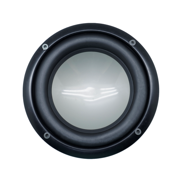 Audax - Speaker Pasif 10" AX-10888 SW8 Subwoofer MK II
