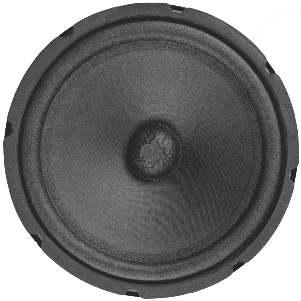 Audax - Speaker Pasif 10" AX-10200 W8 Karaoke Series Woofer MK II