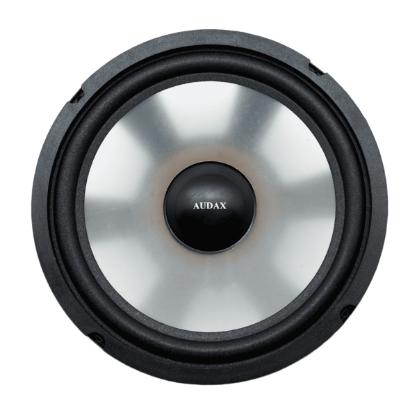 Audax - Speaker Pasif 10" AX-1060 PT8 Woofer MK II