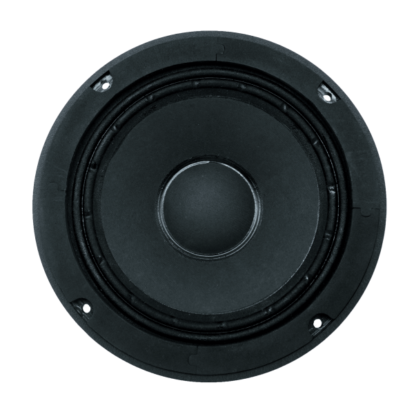 Audax - Speaker Pasif 8" AX-8016 SQ8 Mid Range Professional Series